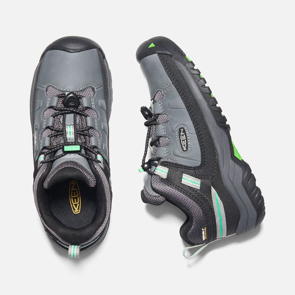 Chaussure de Randonnée Keen Enfant porno/Vert | Targhee Waterproof | VSYIU-8701